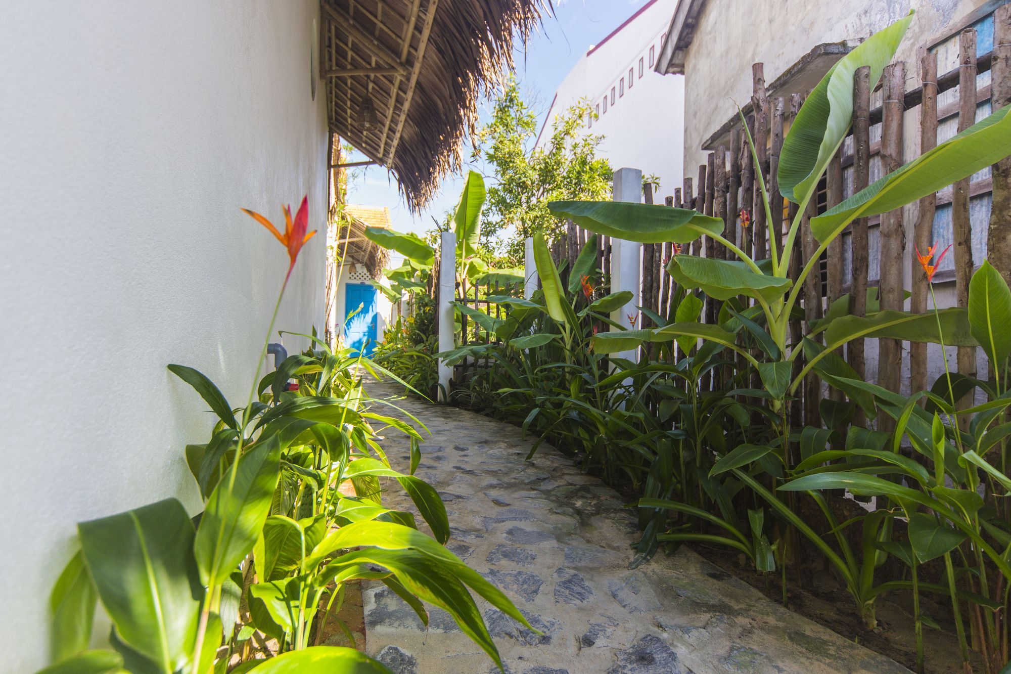 Cashew Tree Bungalow Χόι Αν Εξωτερικό φωτογραφία