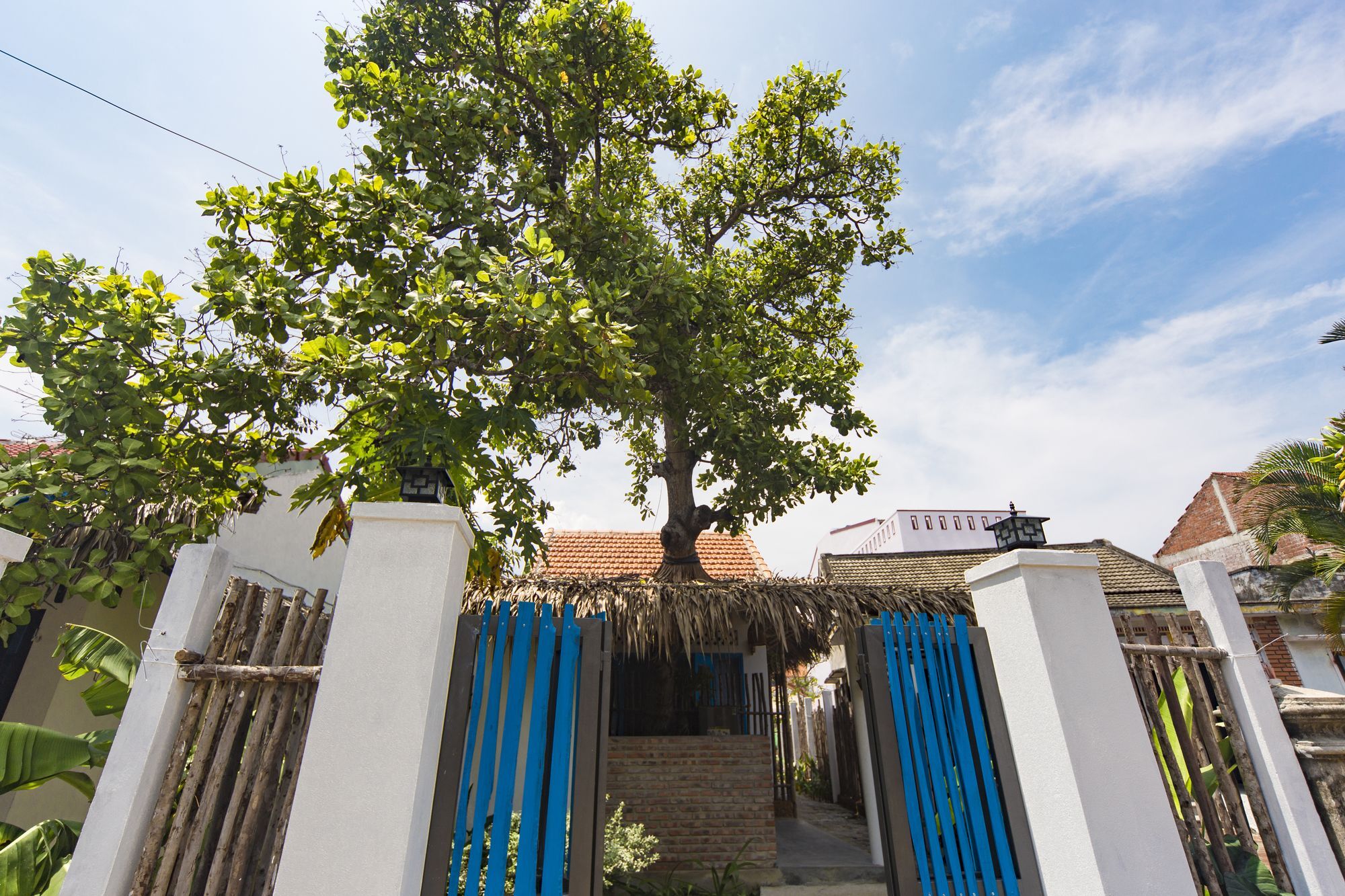 Cashew Tree Bungalow Χόι Αν Εξωτερικό φωτογραφία
